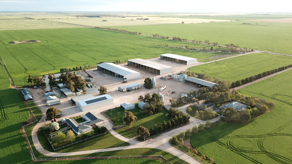 Aerial view of the Whites Glenola homestead and sheds surrounded by green paddocks