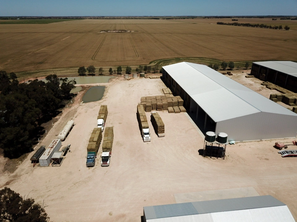 Aerial view of the Whites Glenola sheds and trucks loaded with hay