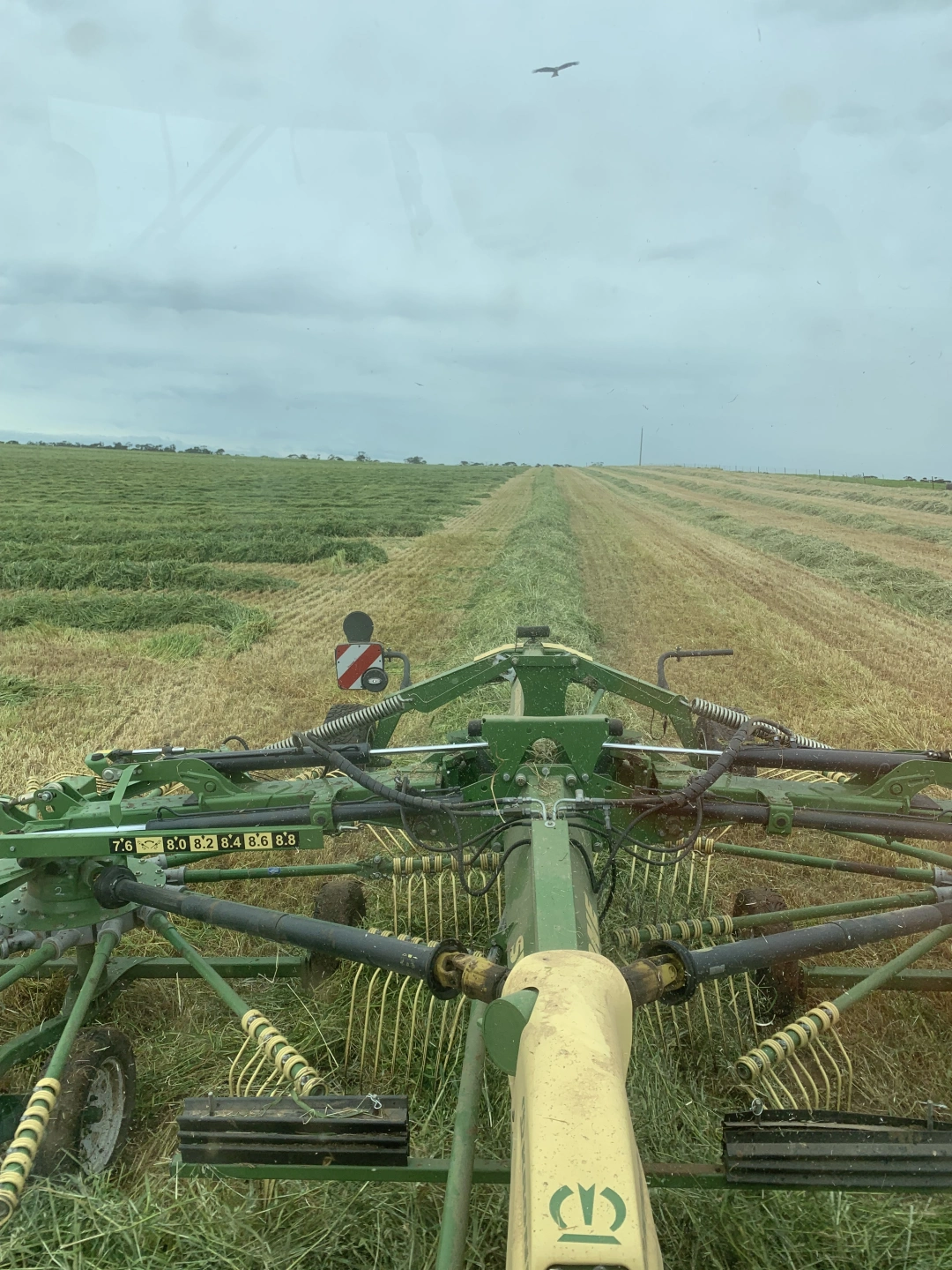 A hay rake forming windrows in a Whites Glenola paddock