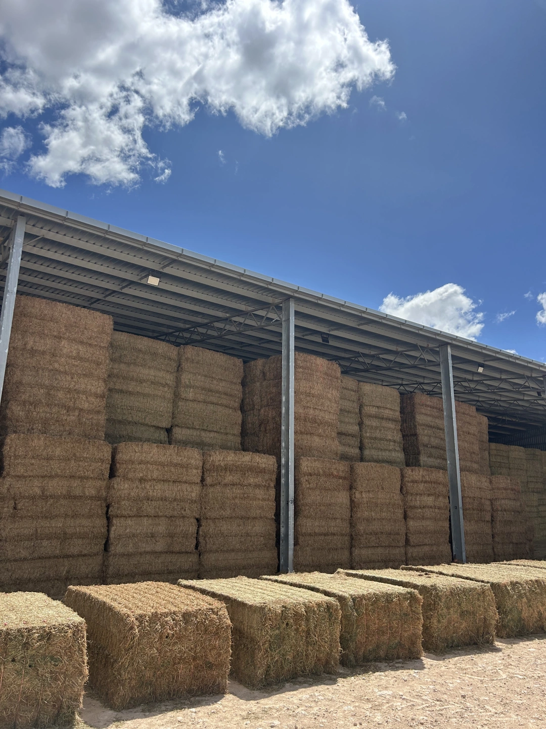 Large square hay bales stacked under cover in a farm shed