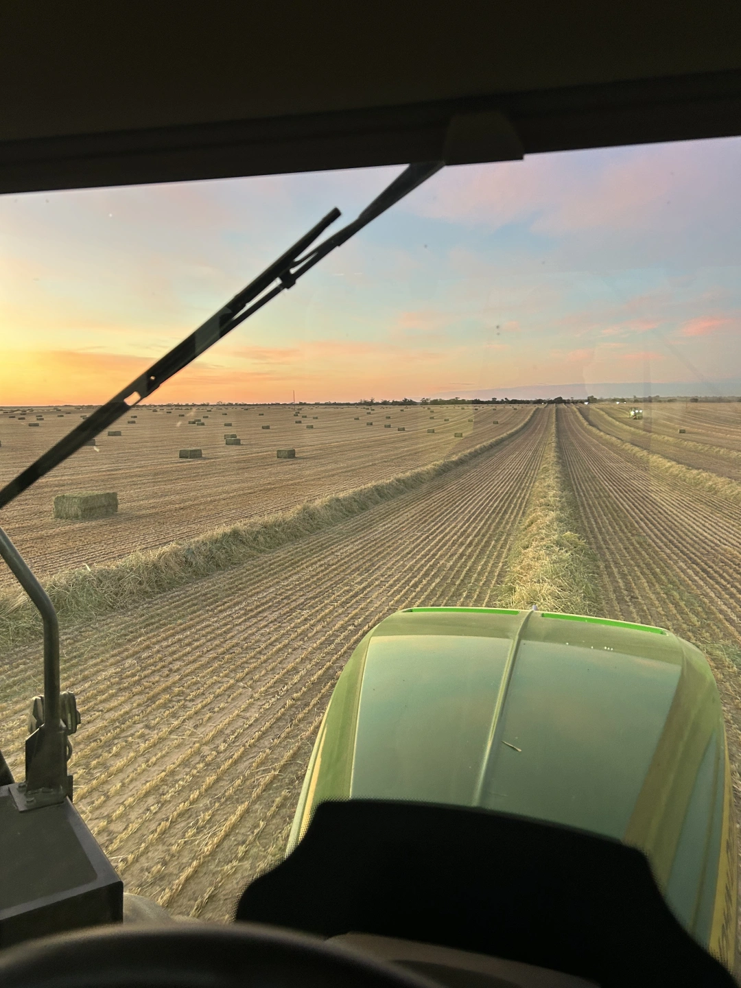 Hay windrows and square bales at sunset, viewed from the tractor cab